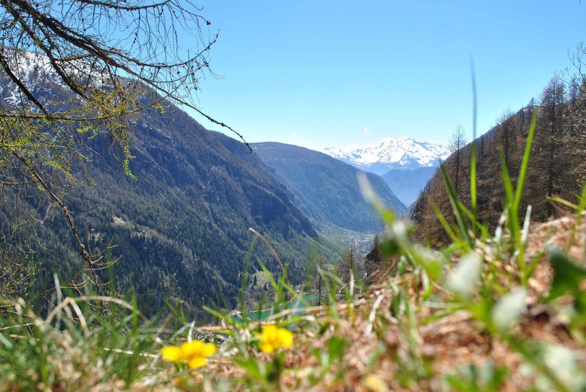 Hotell Millefiori- Alpine Event Lodge Валтурненче Екстериор снимка
