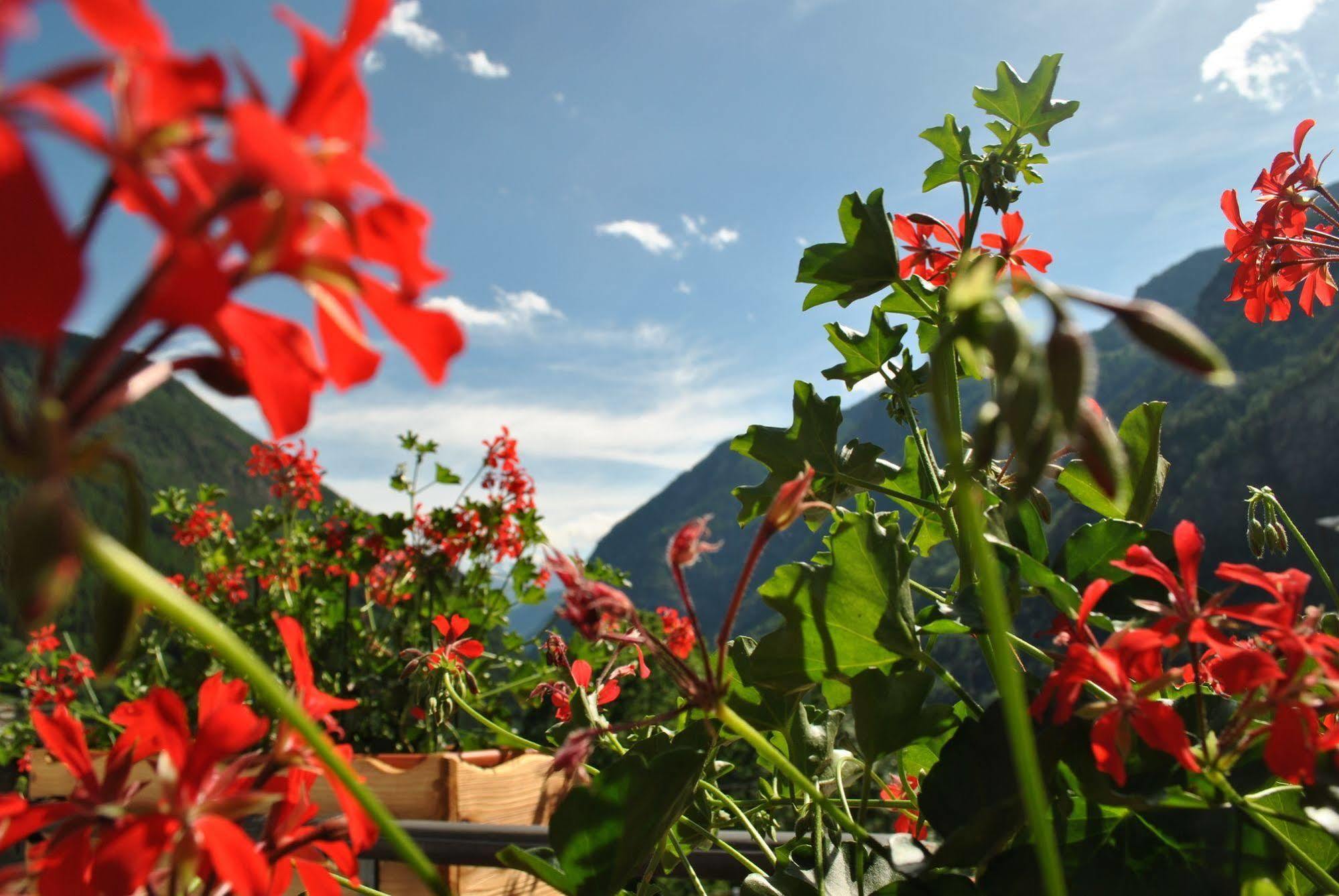 Hotell Millefiori- Alpine Event Lodge Валтурненче Екстериор снимка