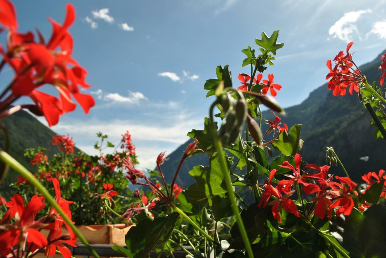 Hotell Millefiori- Alpine Event Lodge Валтурненче Екстериор снимка